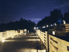 -宝安西湾红树林湿地公园