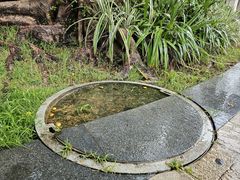 -三亚海棠湾万丽度假酒店