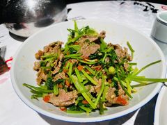 -壹盏灯(惠农店)