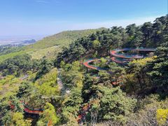 -大芦花风景区