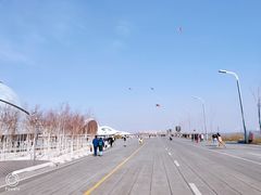 -哈尔滨大剧院