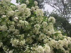 -北京植物园南门售票处