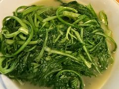 -啄佬食堂