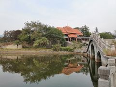 -大屏嶂森林公园