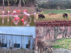 -杭州野生动物世界