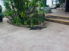 -亚洲大陆最南端