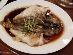 -绿地御豪温泉酒店·御泉中餐厅