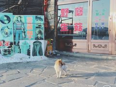 -北极村旅游风景区