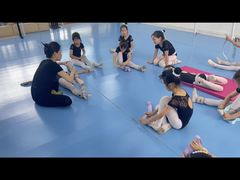 -西安小天鹅艺术团(曲江Alice店)