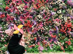 -祥源·阜阳生态乐园