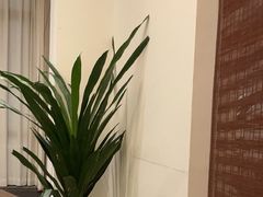 -梅花香里大酒店(郁金香路店)