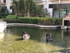 -南京圣和府邸豪华精选酒店