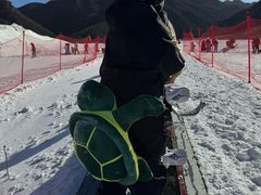 -八达岭滑雪场