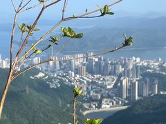 -梧桐山风景名胜区