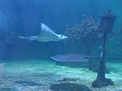 -常州海昌海洋探索馆