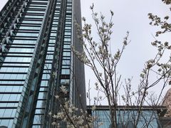 -青岛五四广场海景美仑国际公寓酒店
