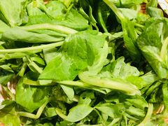 -菌海森林·非遗野生菌火锅(西山区滇池路摩根道店)
