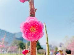 -北京明城墙遗址公园