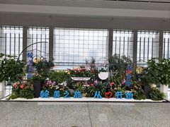 -合肥南站