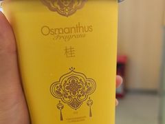 -爷爷不泡茶 NOYEYENOTEA(长沙五江天街店)