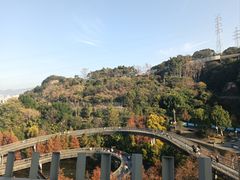 -福道