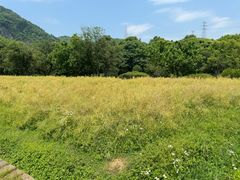 -八卦田遗址公园