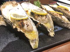-台场海滨公园船码头