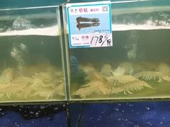 -南海渔家•海鲜•正宗海南菜(海棠湾店)