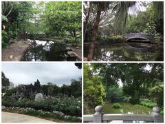 -人民公园(罗湖区)