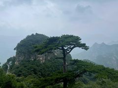 -圣莲山风景区