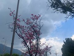 -大理床单厂艺术区