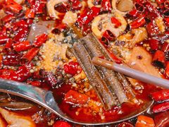 -华豫川酒家(大卫城店)