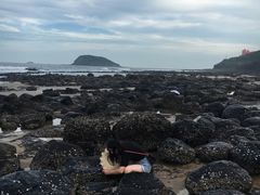 -漳州滨海火山岛自然生态风景区