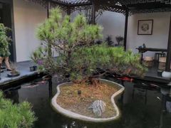 -三溪村