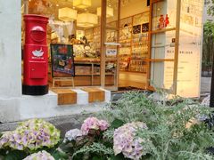 -猫的天空之城概念书店(大学路店)