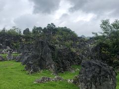 -千岛湖石林
