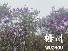-白云山风景名胜区