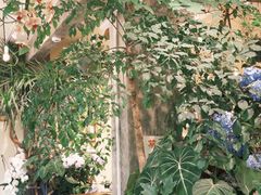 -花二家·生活馆(六运小区店)
