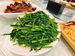 -金蝉食府(维吉奥广场店)