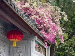 -深圳国际园林花卉博览园