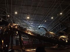 -世界恐龙谷景区