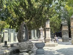 -大慈恩寺(大雁塔)