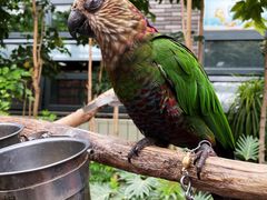 -南宫五洲植物乐园