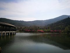 -石塘人家