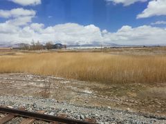 -撒拉人家.酸菜牦牛肉火锅