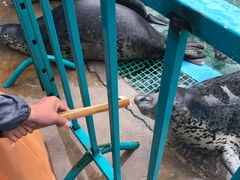 -北戴河圣蓝海洋公园