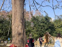 -HERRE·FARM 赫尔露营农场·团建聚会包场