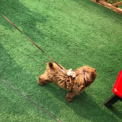 -萌宠亲子动物乐园(槐房万达店)