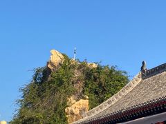 -大槐树寻根祭祖园