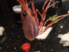 -daozao料理美术馆(寿光店)